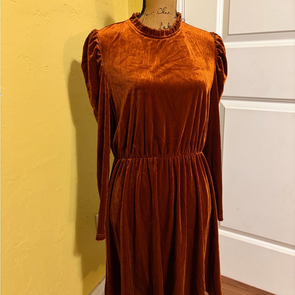 Elegant Velvet Dress in Rich orange